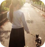 外出のきっかけとして、元保護犬（Rescue dog）と一緒にお散歩できます。